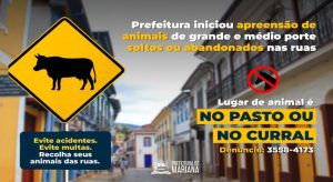 Prefeitura de Mariana age em favor da segurança, com a apreensão responsável de animais de grande porte