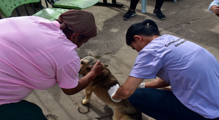 Prefeitura de Mariana vacina mais de seis mil animais com a Campanha de Vacinação Antirrábica Animal